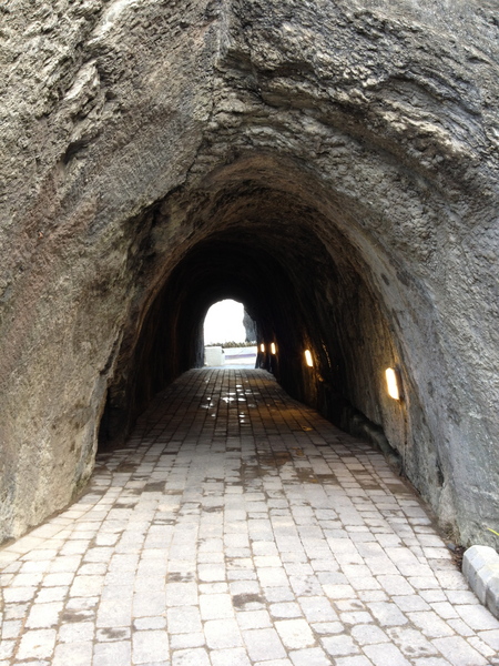 5977-tunnel-thumb-450x600-5976.jpg