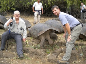 Galapagos Islands tortoises
