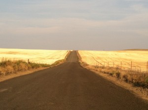 Remote road near Shaniko OR 1 130814