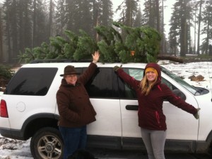 Hun Kate tree on SUV