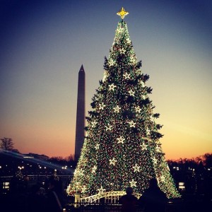 Christmas tree dc