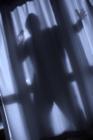 1137-defenseBurglar2.jpeg