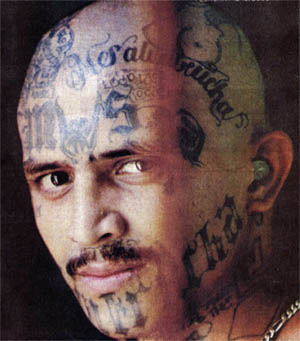 117-MS-13_Face.jpg