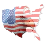 1291-eagleflag.jpg