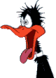 1551-daffyduck3.gif