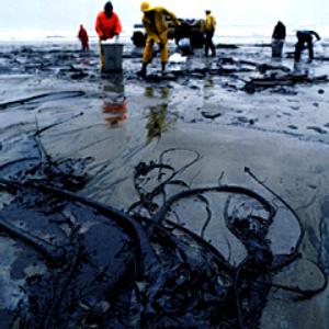 2913-Oil-spill-2_.jpg