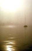 2921-sailboat6.jpg