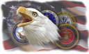 3748-MilitaryEaglets.jpeg