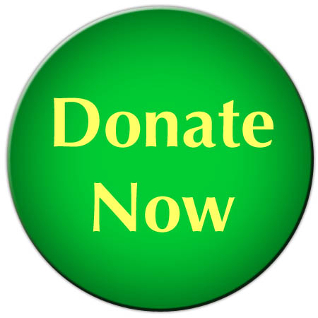 3841-Donate3.jpg