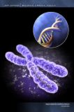 41-Gene9bdcd747350ebbc0.jpg