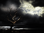 4654-ATT00001.gif