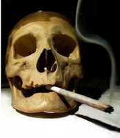 5406-addict2-thumb-175x201-5405.jpg