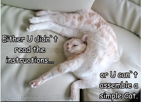 5613-catfunny00012-thumb-476x343-5612.jpg