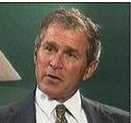 6716-bush43aa4-thumb-131x123-6715.jpg