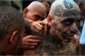 7003-MS13Gangster-thumb-292x191-7002.jpg