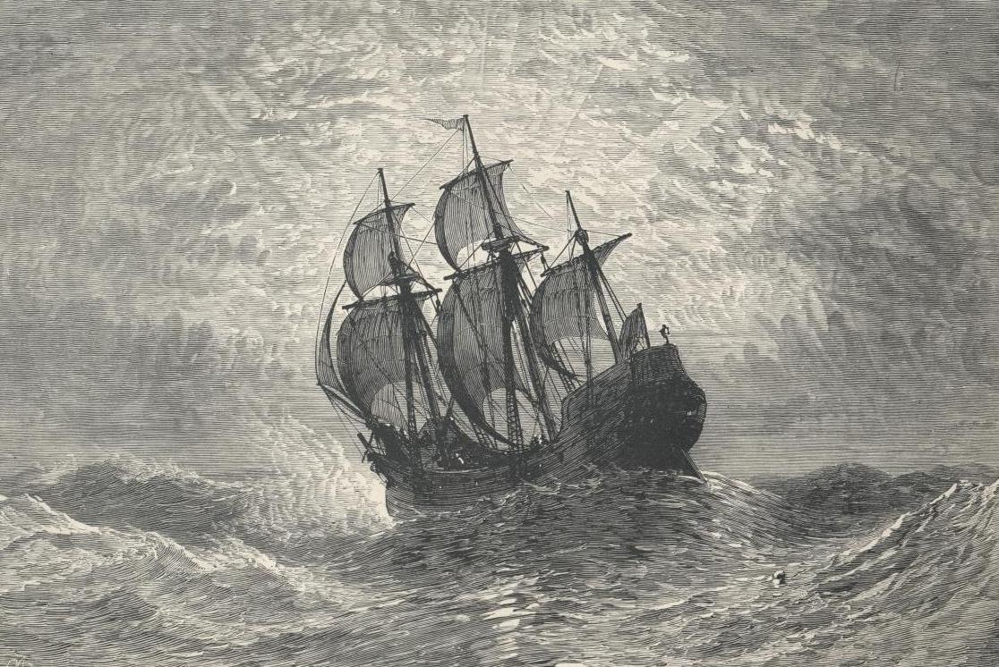 7144-Mayflower.JPG