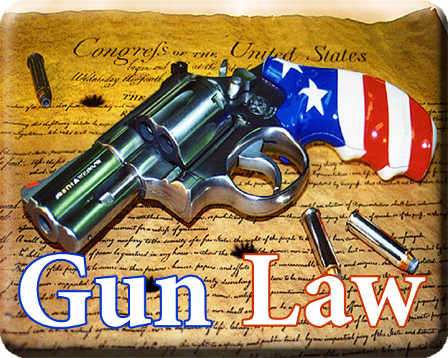 Image result for guns and the law