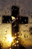 76-Cross1771857.jpg