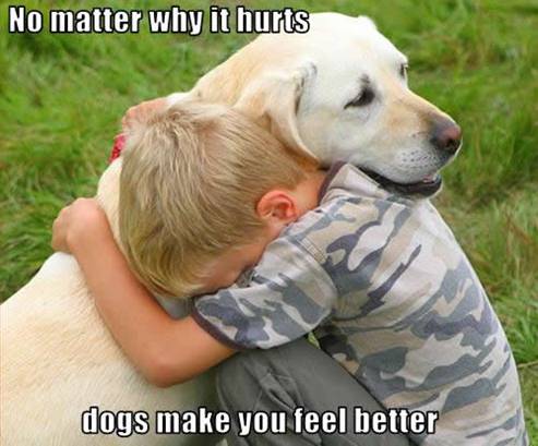 760-dog.jpg