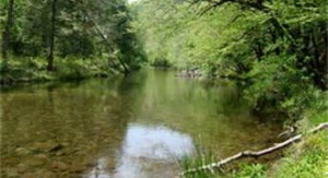 Burlake creek