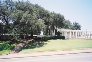 Grassy_Knoll_2003