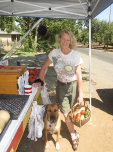 Laura Nichols sells tomatoes for $1 a pound off Bruce Lane, which is off Hegan Lane. She and her dad Bob grow about 479 tomato plants.